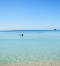 Dune Ritual Beach