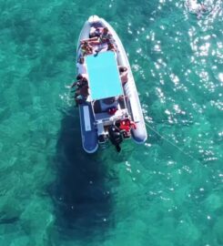 Porto Cesareo Service