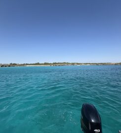Porto Cesareo Service