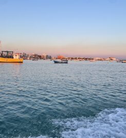 Porto Cesareo Service