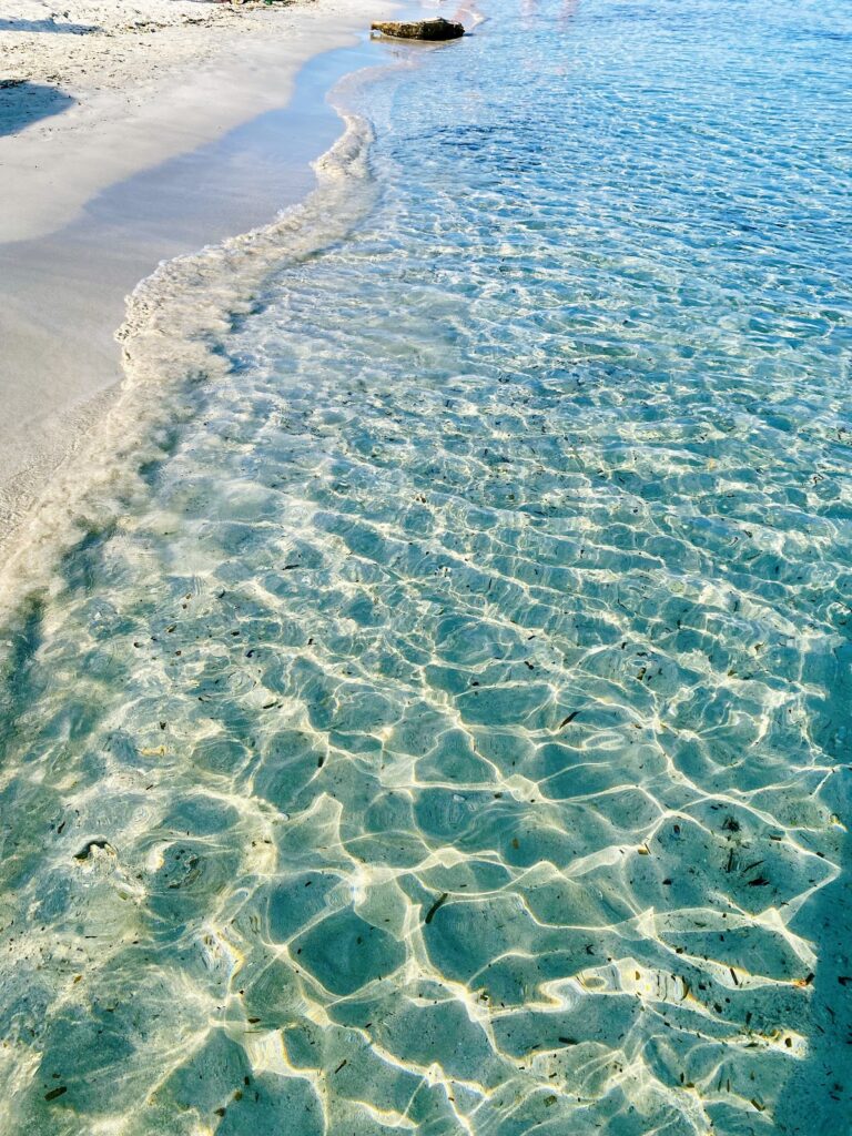 Punta Prosciutto Beach Gallery 7 6a91819115d28